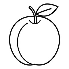 Moorpark Apricot Fruit – Line Art Vector Illustration on White Background