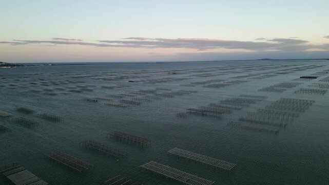 Aerial view of oyster farms in the tranquil waters of Etang de Thau, with rows of platforms creating a textured contrast against the serene water, Etang de Thau, Occitanie, France.