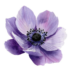 Naklejka premium Detailed watercolor flower illustration (1)