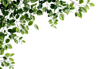 Green leaves corner border