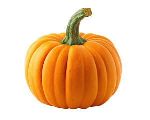 Obraz premium Single orange pumpkin