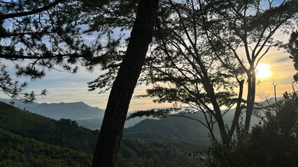 Sunrise Mountain View Through Trees Serene Landscape Photography
