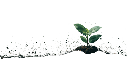 minimal plant sprouting from soil, growth and mindfulness symbol, transparent background