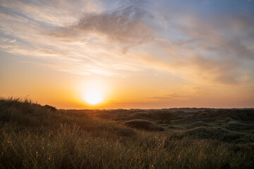 dune landscape