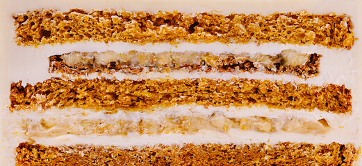 Delicious layered dessert with cake and creamy filling at a bakery