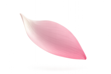 Floating Pink Petal on Black