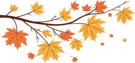 Autumn maple leaves in vibrant fall colors adorn a branch, perfect for seasonal designs and decor