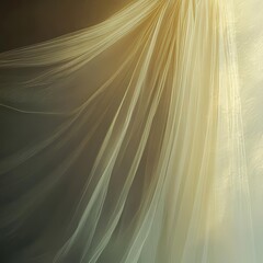 Shimmering Veil A delicate veil of soft shimmering light that conceals and reveals subtle and artistic