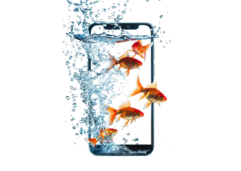 goldfishes swimming out of mobile phone screen with water bubbles isolated on white or transparent png