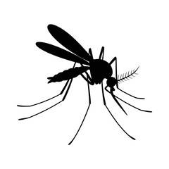 Obraz premium Silhouette of mosquito insect isolated on white background for pest control and disease awareness
