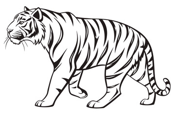 Walking tiger isolated on white background in black and white drawing