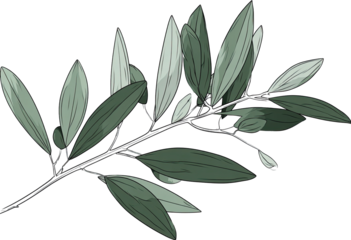 Decorative stylized branch with leaves (1)