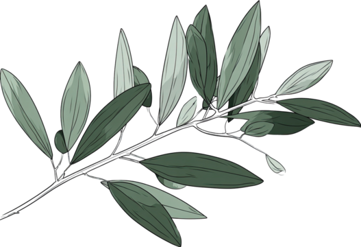 Decorative stylized branch with leaves (1)