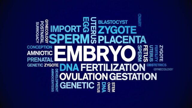 Embryo animated word cloud-text design animation tag kinetic typography seamless loop.
