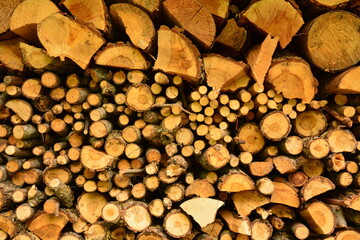 stack of firewood