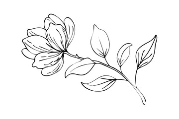 Hand-drawn black flower branch illustration