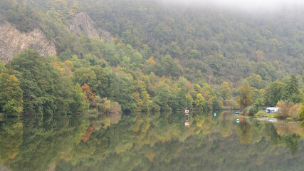 Misty Trees mirror in the River Lahn in Germany. High quality photo