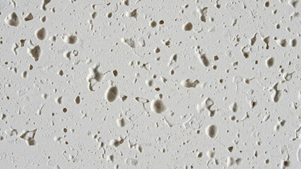 Obraz premium White Textured Surface Close-Up of a Porous, Speckled Material