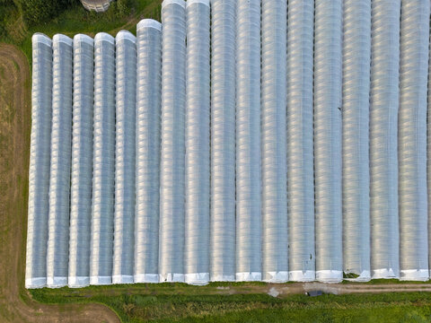 Aerial view of rows of greenhouses reflecting the sky, creating a shimmering, ethereal landscape against the backdrop of green fields, Innvik, Vestland, Norway.