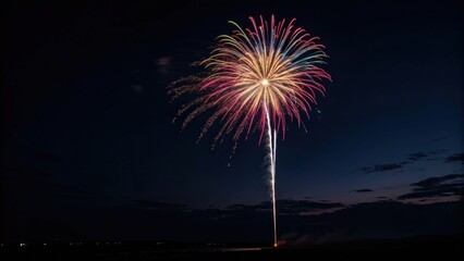 Firework display lighting up the night sky with vibrant colors.
