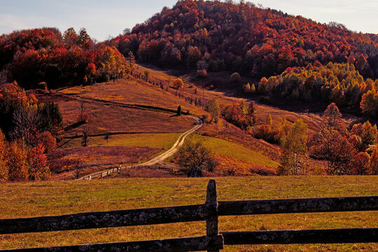 Autumn colored trees and countryside landscape scenery.