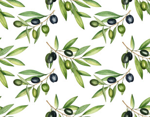 olive branch background