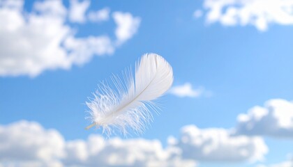 Naklejka premium white feather on blue sky