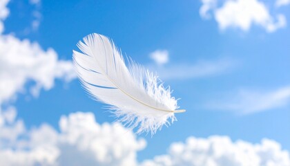 Naklejka premium white feather on blue sky