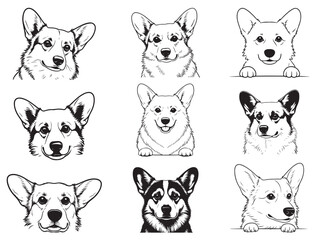 Fototapeta premium PEEKING WELSH CORGI SILHOUETTE