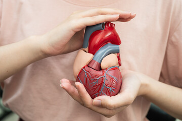 Cardiovascular disease CVD, Asian woman with heart human anatomy model.