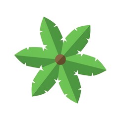 Stylized Palm Tree Top View Icon on White Background