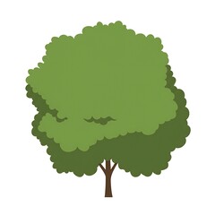 Green Tree Illustration Isolated on White Background