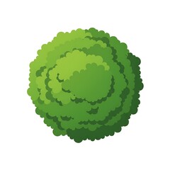 Stylized Round Green Bush Isolated on White