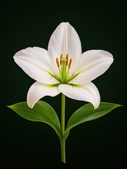 Botanical glitch graphic isolated on white background for nature-meets-error shirt design and digital floral fashion branding