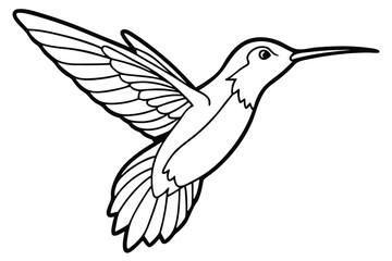 Line art shows a hummingbird flying, its delicate wings outstretched gracefully upward