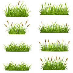 Set of Six Green Grass Clumps with Brown Seed Heads in Various Styles and Perspectives