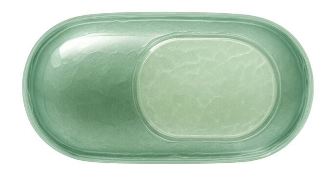 Short, oval-shaped coccobacillus bacterium with a smooth exterior