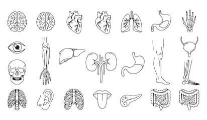 A collection of hand drawn vintage flower illustrations, a doodle sketch and a vector design set of food and cake icons