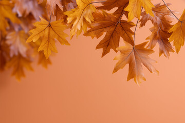 Fototapeta premium Frame of autumn maple leaves on monochrome background. Autumn background for advertisement with space for text. 