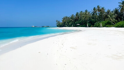 tropical beach with palm trees