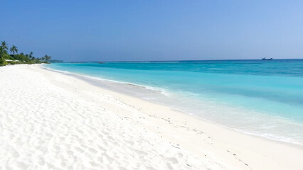 tropical beach with palm trees