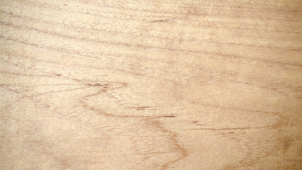Natural Wood Grain Texture Close-Up