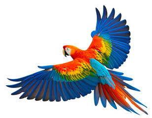 Fototapeta premium Firefly_Colorful flying parrot isolated on transparent background png file