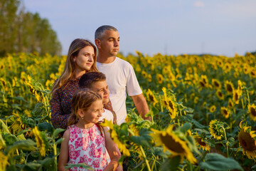 A beautiful family on a farm enjoys a sunflower field together