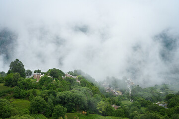 fog in the mountains