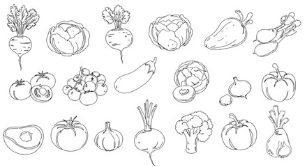 Collection of vegetable silhouettes isolated on white background