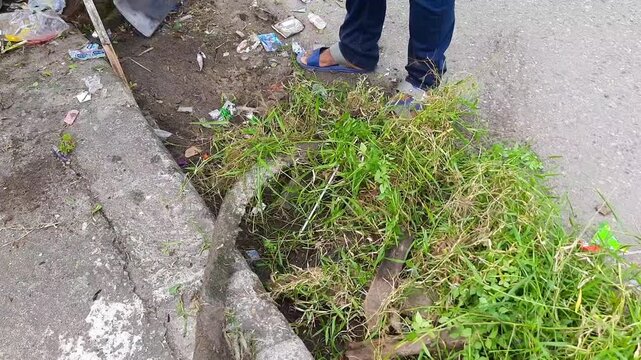 Street Cleaner Removing Weeds and Plastic Waste on Roadside