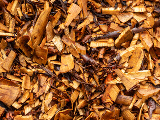 A close-up texture of wet wood chips.