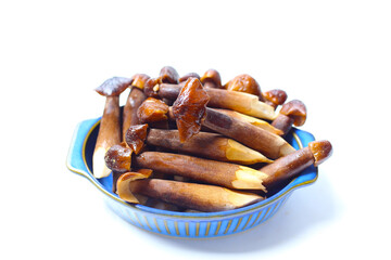 Termite mushrooms with long stems, white tips, and dark brown caps.
