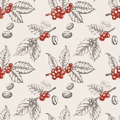 Vintage coffee plant pattern with leaves, flowers, and coffee cherries in two-color hand-drawn style